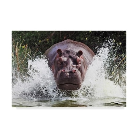 Trademark Fine Art Wayne Pearson 'Im Going To Get You' Canvas Art, 30x47 1X05393-C3047GG